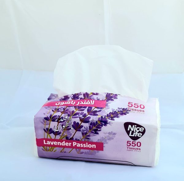 WhatsApp Image 2025-09-18 at 3.02.27 PM